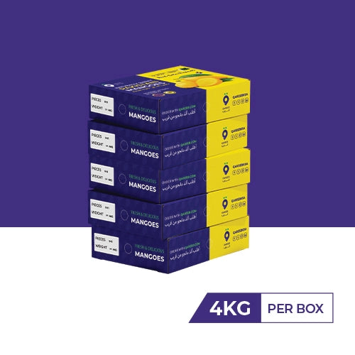 Buy 5 Chaunsa Boxes 4Kg each and get free delivery