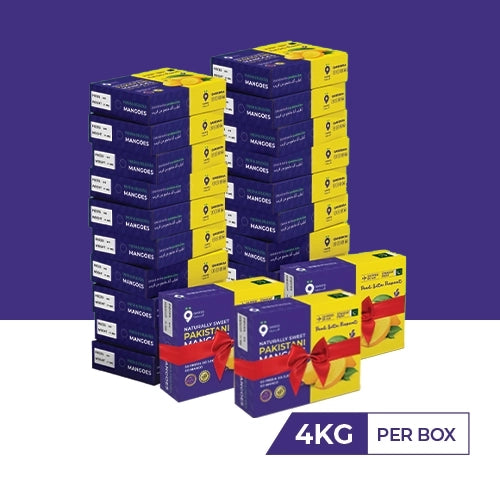 Buy 20 Chaunsa Boxes 4Kg each and get 3 free