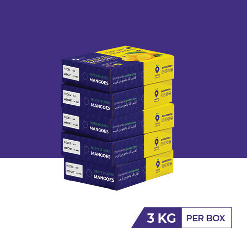 Buy 5 Chaunsa Boxes 3Kg each and get free delivery
